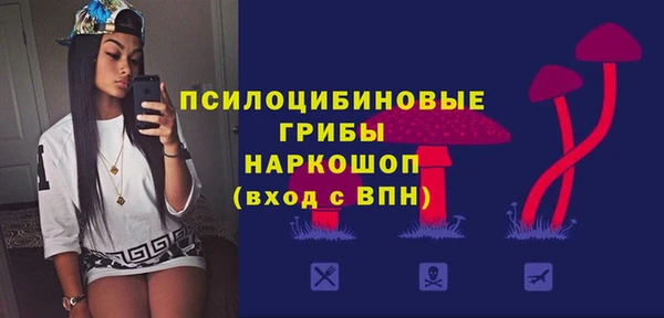 соль курить ск Новодвинск