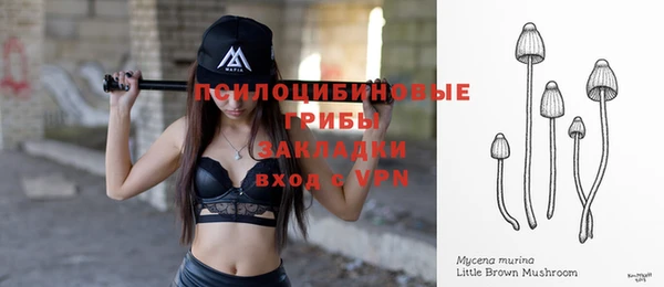 соль курить ск Новодвинск