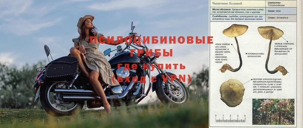 соль курить ск Новодвинск