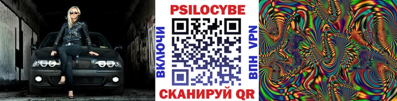 Псилоцибиновые грибы мухоморы  купить наркотик  Эртиль 