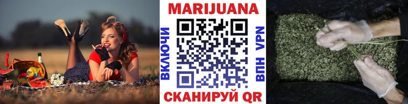 KRAKEN   Эртиль  Шишки марихуана план 